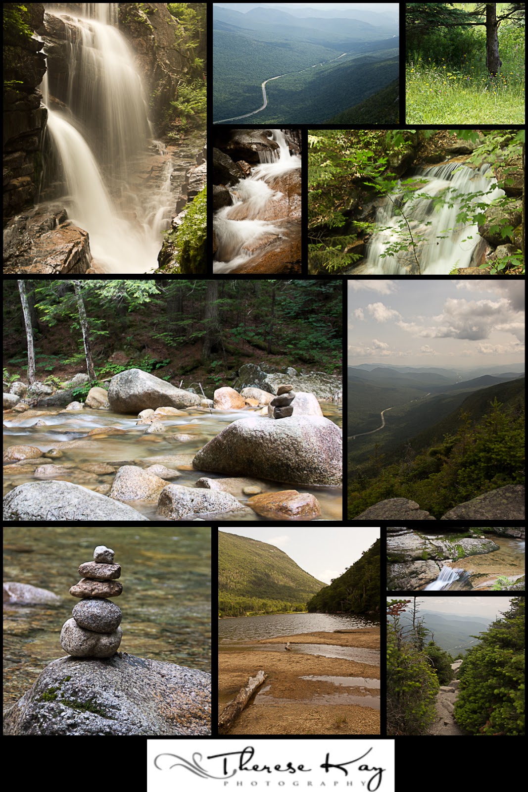 Favorites Collage.jpg
